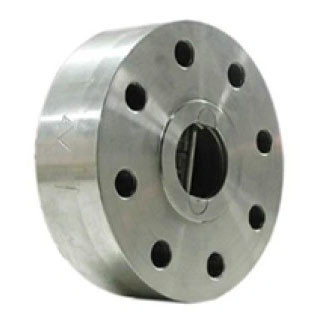 Duplex F55 Flanged Check Valve Stainless Steel Flanged Connection